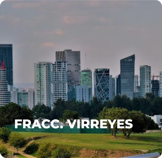 Fraccionamiento Virreyes